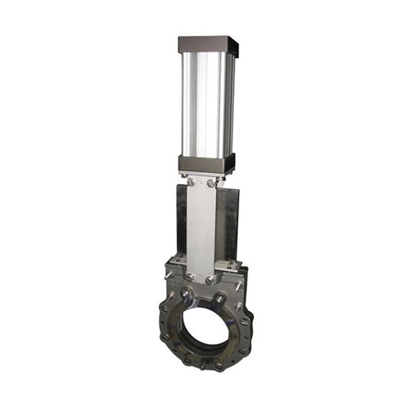 Bi directional Knife gate valve