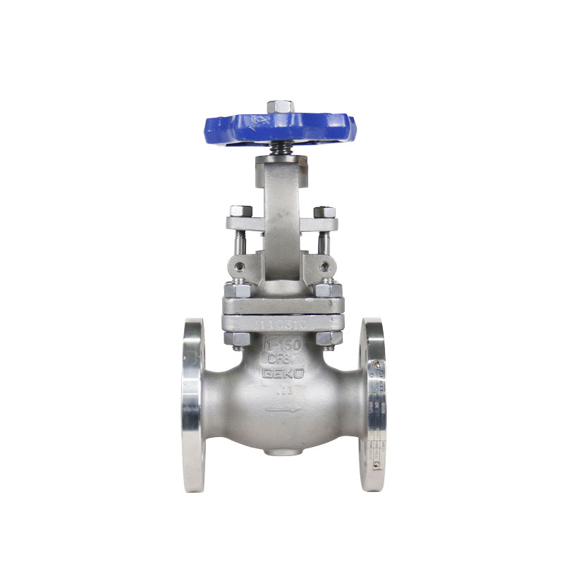 Cast iron flange globe valve